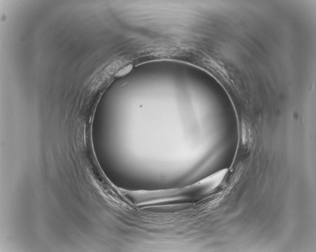 X0000060750205200511141207