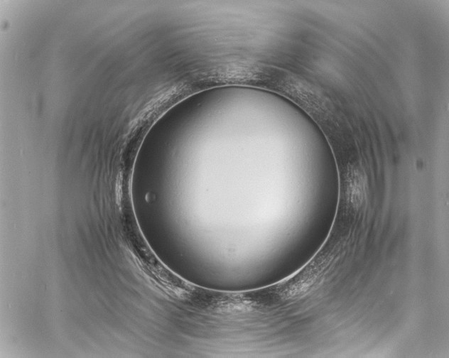 X0000060750206200511141207