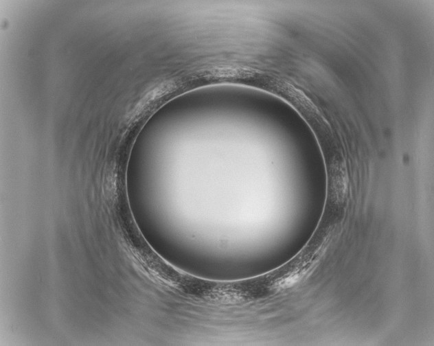 X0000060750207200511141207