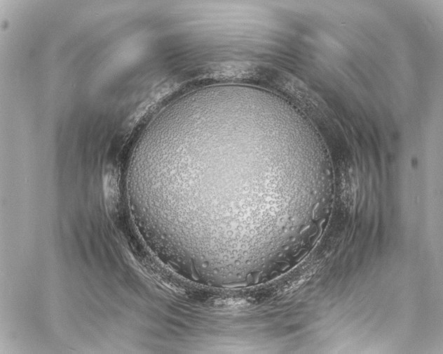 X0000060750208200511141207