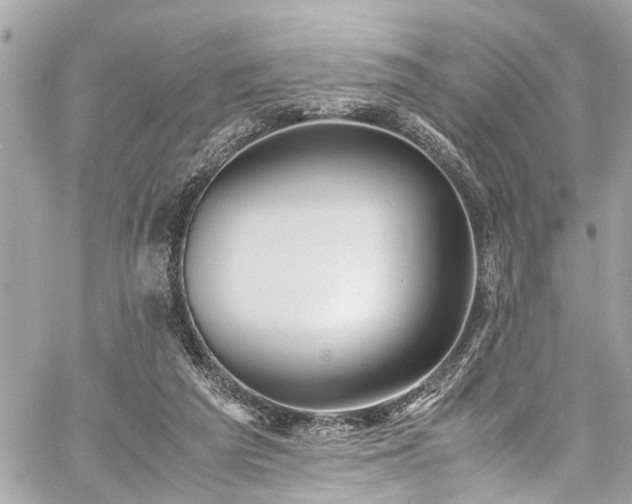 X0000060750209200511141207