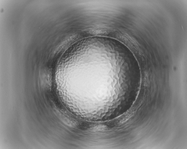 X0000060750210200511141207