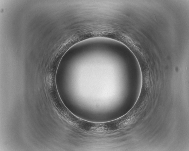 X0000060750211200511141207