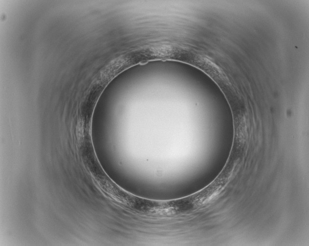 X0000060750213200511141207