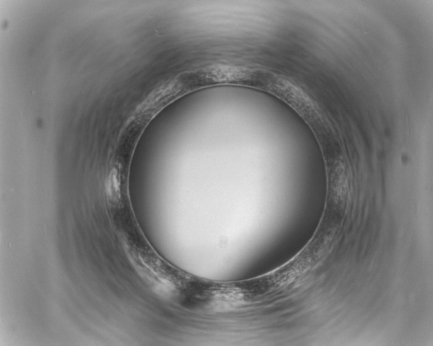 X0000060750214200511141207