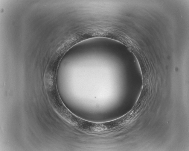 X0000060750215200511141207