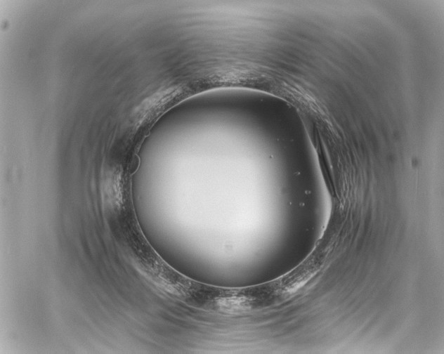 X0000060750216200511141207