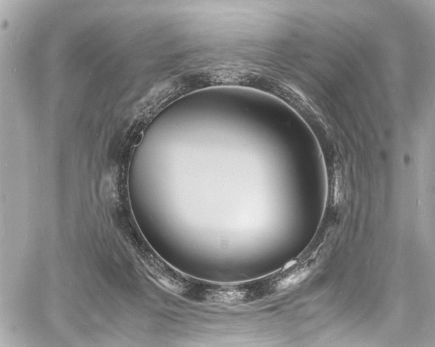 X0000060750217200511141207