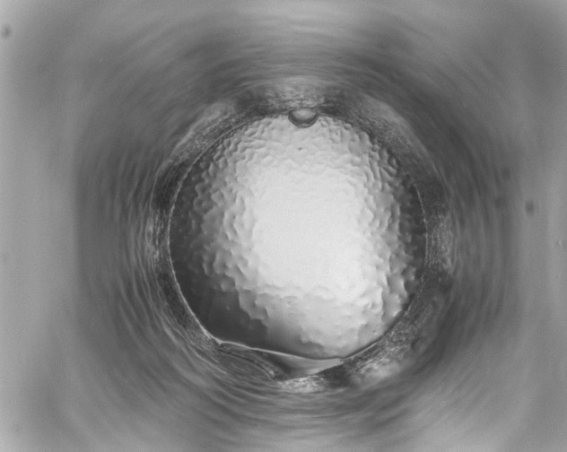 X0000060750218200511141207