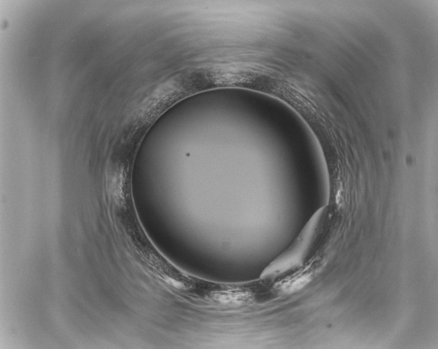 X0000060750219200511141207