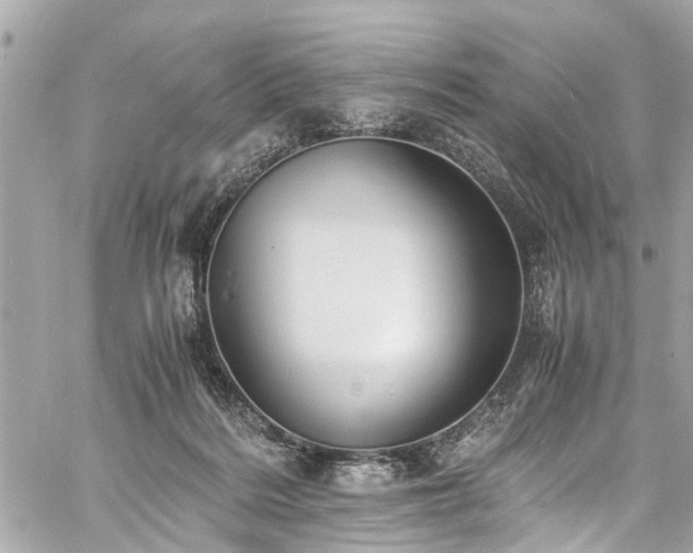 X0000060750220200511141207