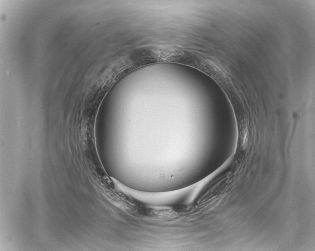 X0000060750221200511141207