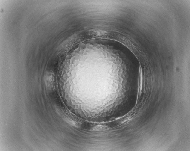 X0000060750222200511141207