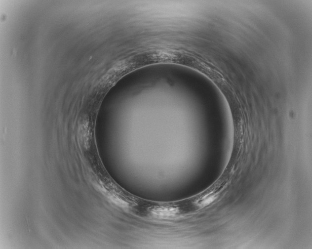 X0000060750223200511141207