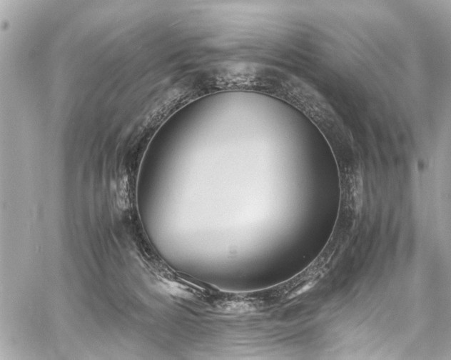 X0000060750224200511141207