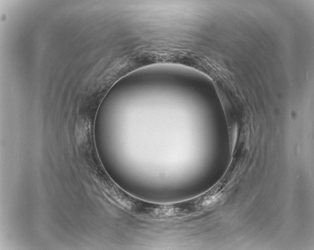 X0000060750225200511141207