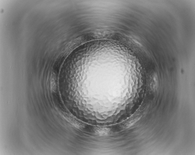 X0000060750226200511141207