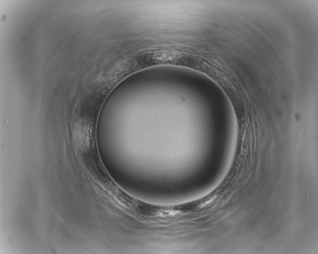 X0000060750227200511141207