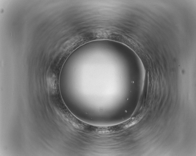 X0000060750228200511141207