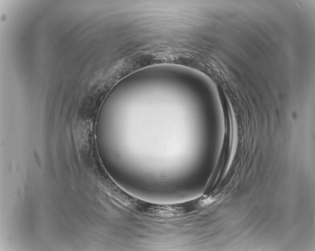 X0000060750229200511141207