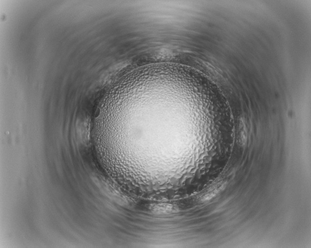 X0000060750230200511141207