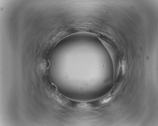 X0000060750231200511141207