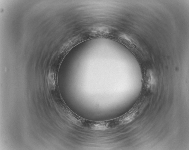 X0000060750232200511141207