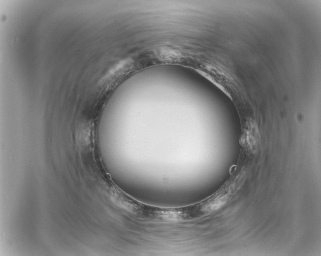 X0000060750233200511141207