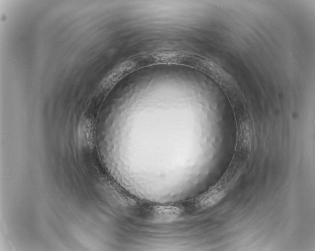 X0000060750234200511141207