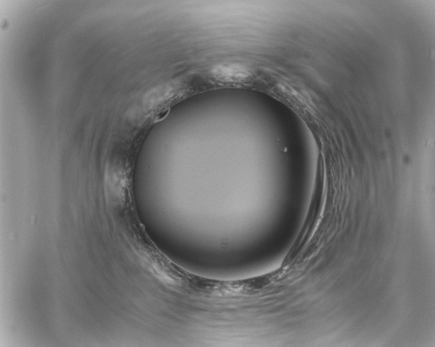 X0000060750235200511141207