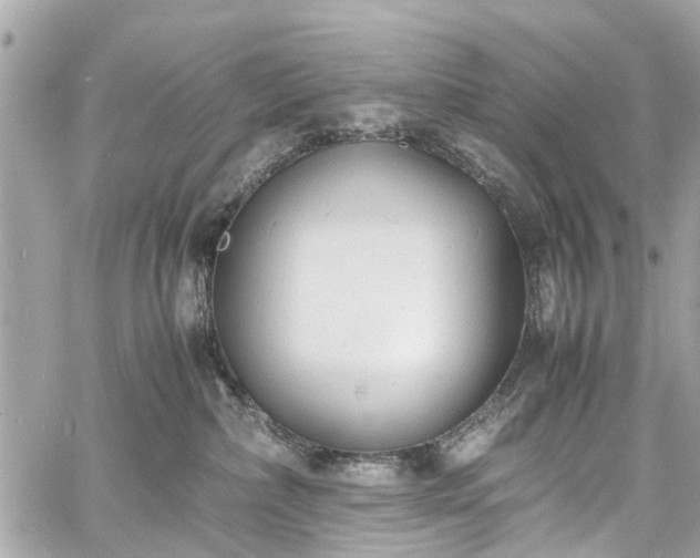 X0000060750236200511141207