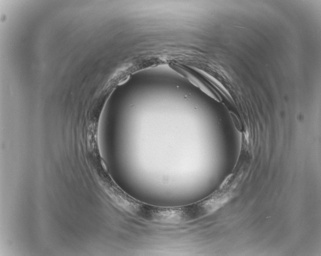 X0000060750237200511141207