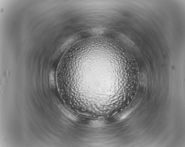 X0000060750238200511141207