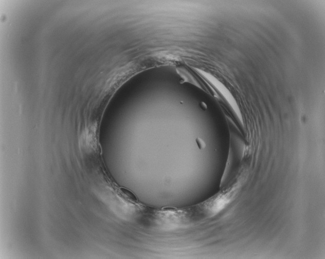 X0000060750239200511141207