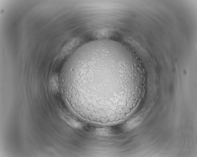 X0000060750240200511141207