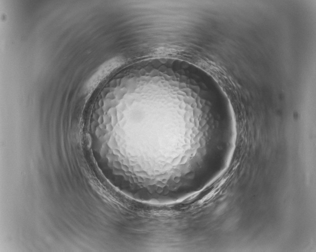 X0000060750242200511141206