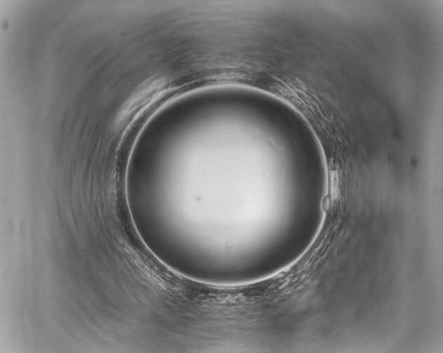 X0000060750243200511141206