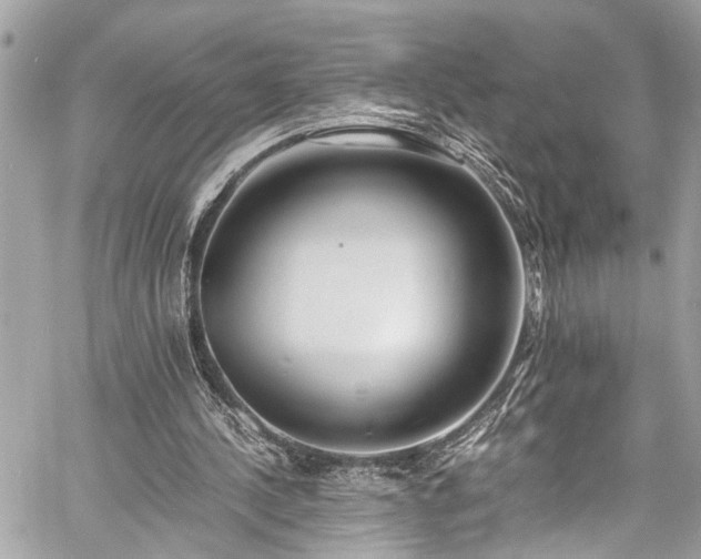 X0000060750244200511141206