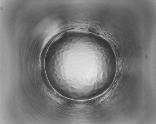 X0000060750246200511141206