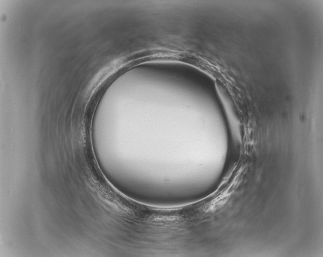 X0000060750247200511141206