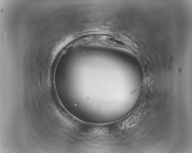 X0000060750248200511141206