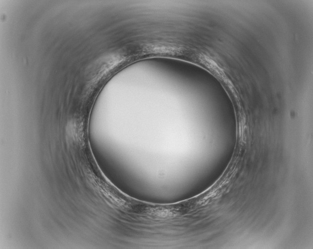 X0000060750249200511141206