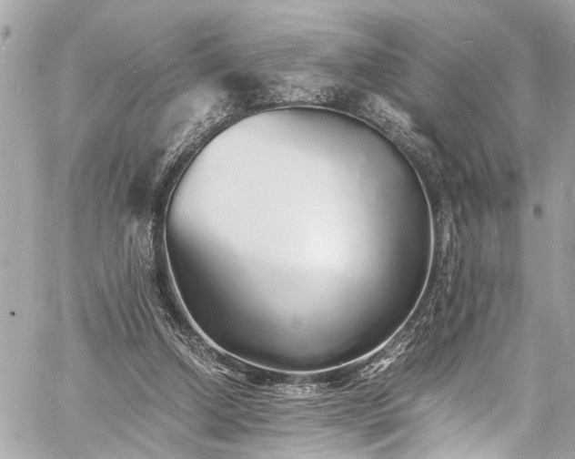 X0000060750250200511141206