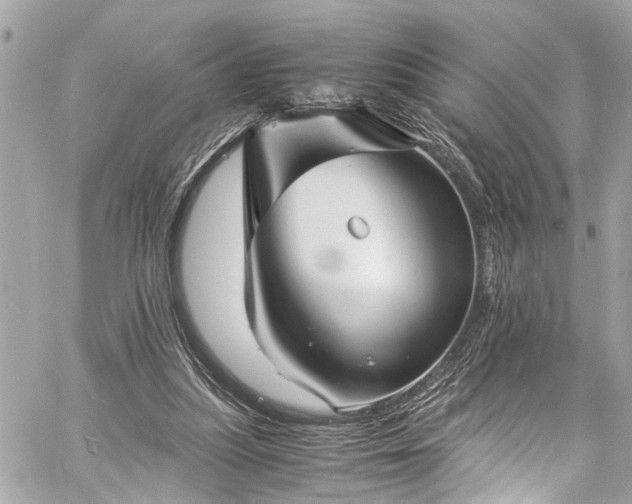 X0000060750251200511141206