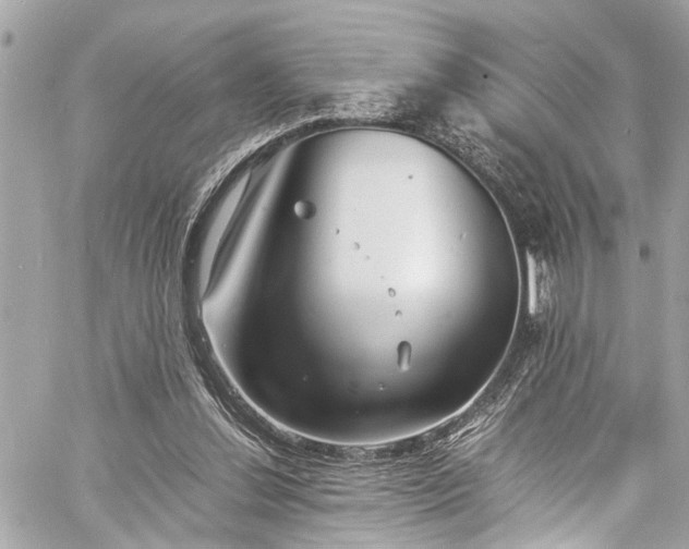 X0000060750252200511141206