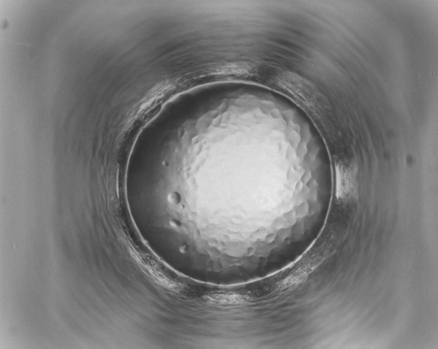 X0000060750253200511141206