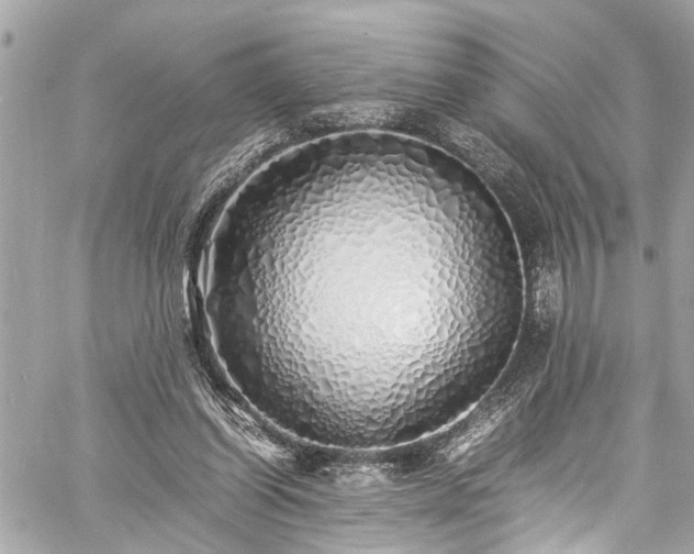 X0000060750254200511141206