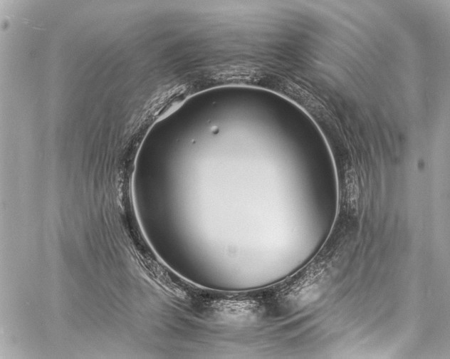 X0000060750255200511141206