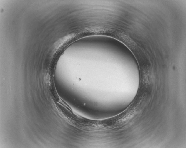 X0000060750256200511141206