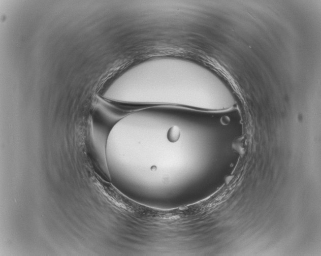 X0000060750257200511141206